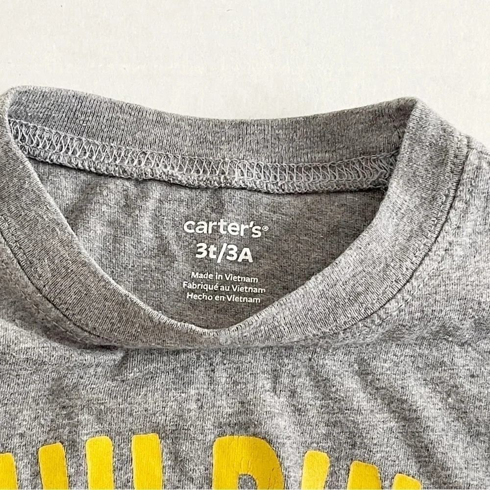 CARTER’S Boy’s Gray Graphic Long Sleeve Tee - 3T